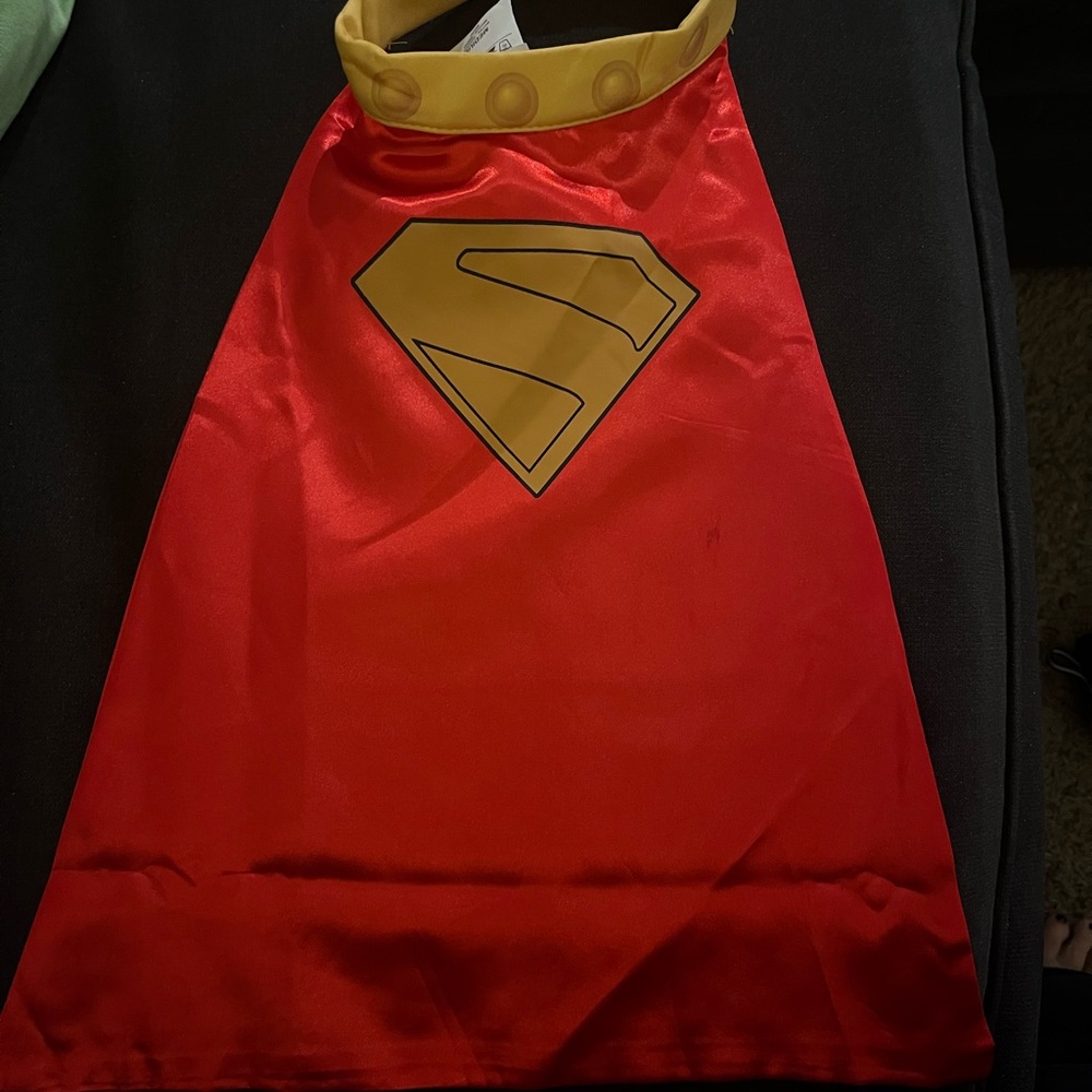 Superhero- Krypto  Dog Costume - Picture 3 of 7